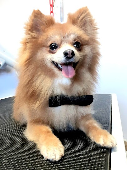 A Flair'allure By Valentine, Toiletteur pour Animaux à Oye-Plage