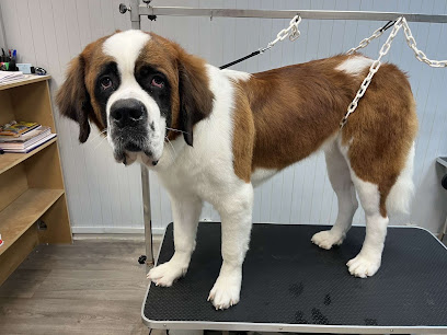 Atout Poils Toiletteur Pour Animaux à Saint-Saëns