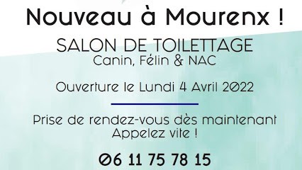 Coupe Tout'tout, Toiletteur pour Animaux à Mourenx