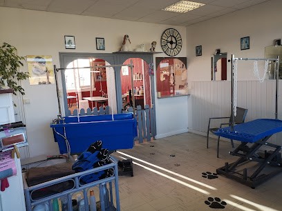 Les intondables, Toiletteur pour Animaux à Sainte-Maure-de-Touraine