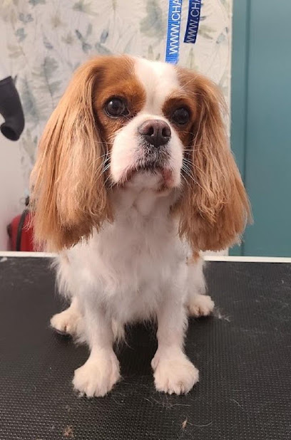 Au Bien Hêtre Animal Toiletteur Pour Animaux à Cormeilles-en-Parisis