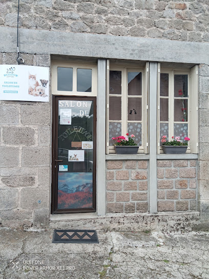 4Pattes19, Toiletteur Pour Animaux à Corrèze