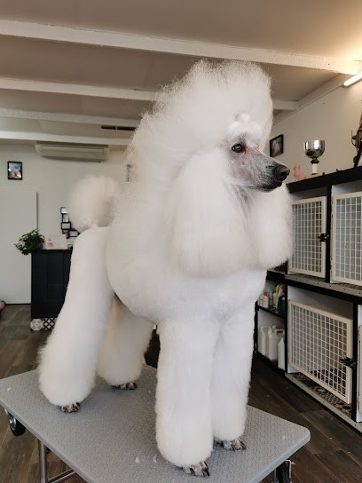 Salon De Toilettage L'Emeraude, Toiletteur pour Animaux à Puilboreau