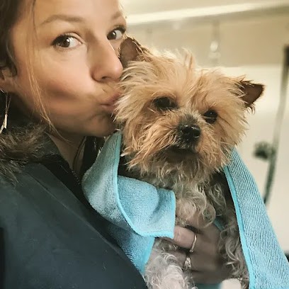 Bon chic bon chien toilettage, Toiletteur pour Animaux à Questembert