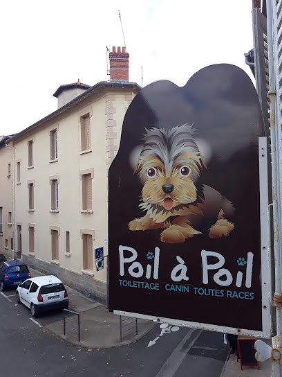 Poil A Poil, Toiletteur pour Animaux à Montbrison