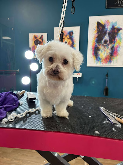 Ptite Bulle De Poils Toiletteur Pour Animaux à Nice
