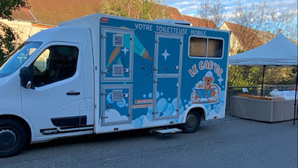 Le Car'os Toilettage Itinérant, Toiletteur Pour Animaux à Erckartswiller