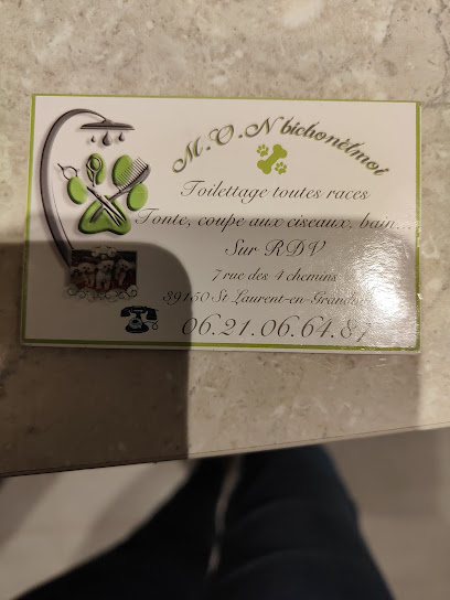 Mon Bichonetmoi, Toiletteur Pour Animaux à Saint-Laurent-en-Grandvaux