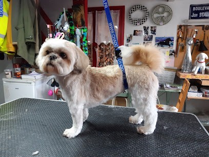 Toilettage Cat Canin, Toiletteur pour Animaux à Marsac-en-Livradois