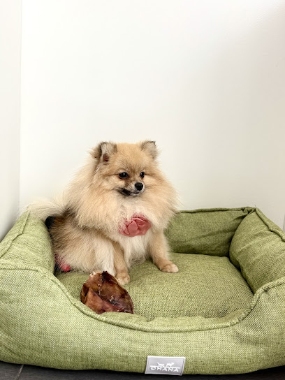 Lovi Toilettage, Toiletteur Pour Animaux à Poissy