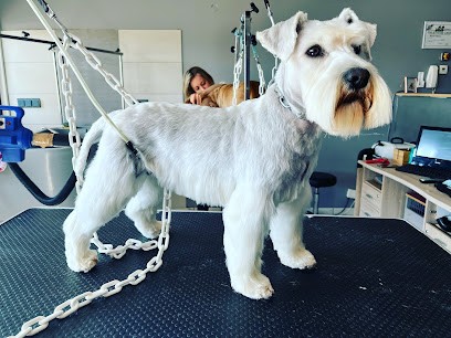 Blanche Neige & Les 7 Toutous, Toiletteur pour Animaux à Wiwersheim