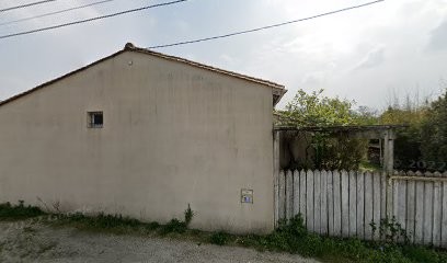 Élevage canin à Bordeaux, Toiletteur pour Animaux à Macau