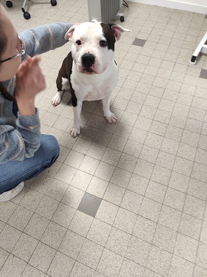 Aux 4 Pattes, Toiletteur pour Animaux à Montataire