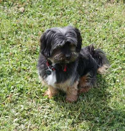 Zen'Toutou, Toiletteur pour Animaux à Épernay