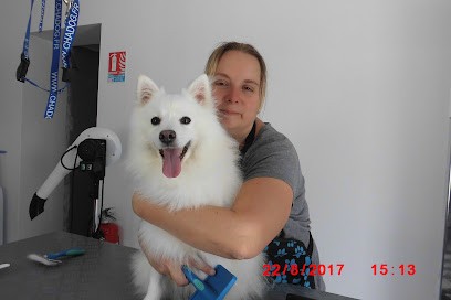 CHOUET'TOUTOU, Toiletteur pour Animaux à Souzay-Champigny