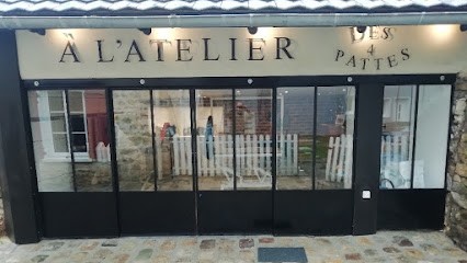 A L'ATELIER Des 4 Pattes Toilettage Chiens Et Chats, Toiletteur pour Animaux à Estouches