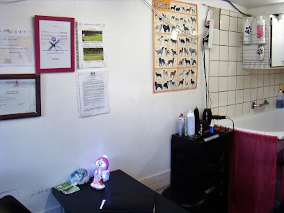 Helene Toilettage chiens et chats, Toiletteur pour Animaux à Blérancourt