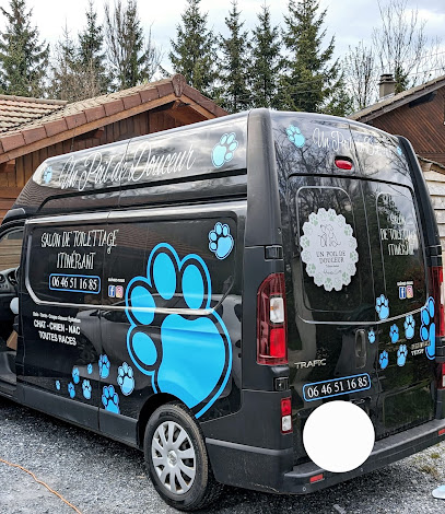 Un Poil De Douceur, Toiletteur Pour Animaux à Saint-André-de-Boëge