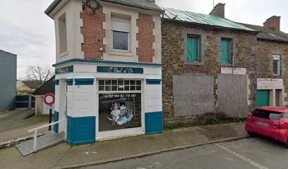 Touch'Canin, Toiletteur pour Animaux à Plénée-Jugon