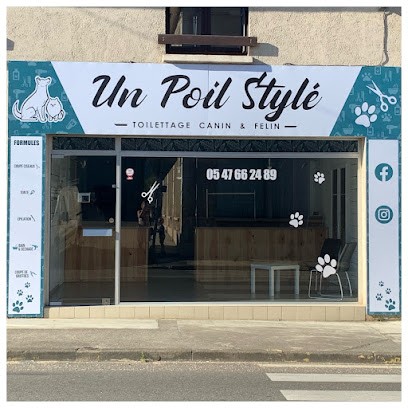 Un Poil Stylé, Toiletteur pour Animaux à Saint-Sylvestre-sur-Lot