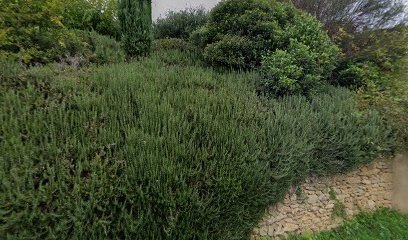 Mathilde Toilettage à Domicile, Toiletteur pour Animaux à Saint-Montan