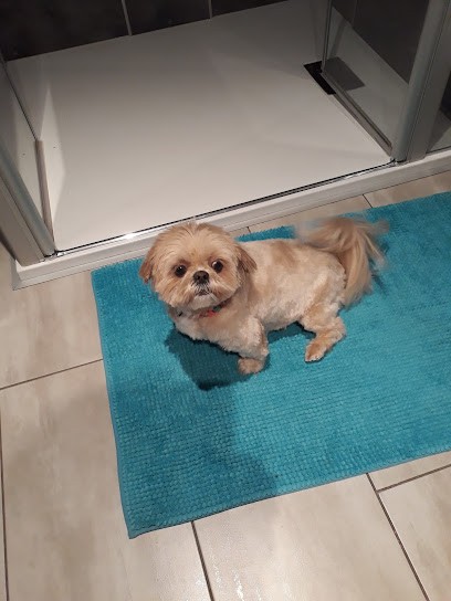 Chopper & Cie, Toiletteur pour Animaux à Wittelsheim