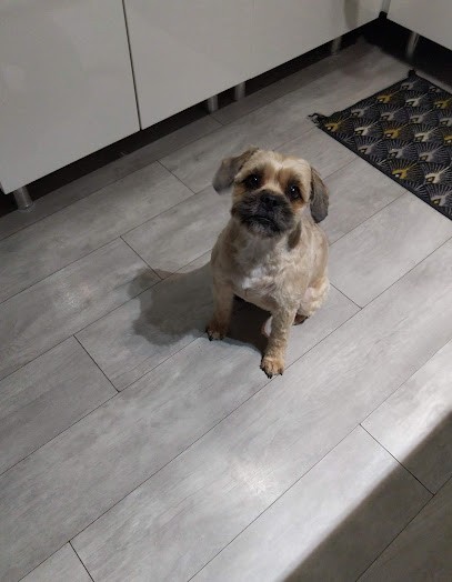 Toutou Clean, Toiletteur pour Animaux à Potigny