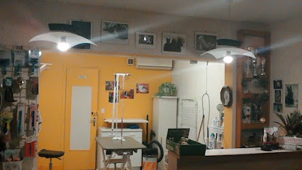 F.B Toilettage, Toiletteur pour Animaux à Salbris