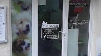 Aux 101 Dalmachiens, Toiletteur pour Animaux à Montluçon