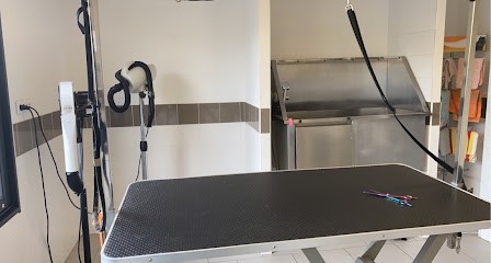 Toilettage La Pigeonnie, Toiletteur pour Animaux à Ussac