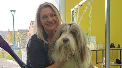 Salon de Toilettage Mille Poils, Toiletteur pour Animaux à Anzin-Saint-Aubin