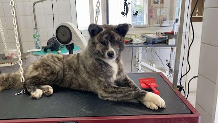 Boule De Poils, Toiletteur pour Animaux au Mans