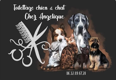 Toilettage Chez Angelique, Toiletteur Pour Animaux à Saint-Michel-l'Observatoire