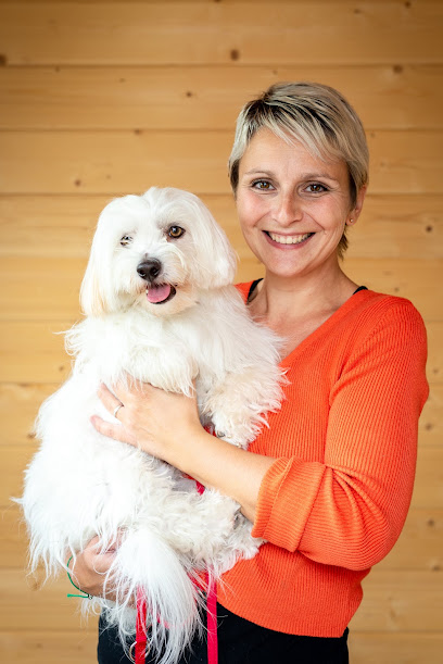 Sparrow & Co, Toiletteur Pour Animaux à Hombourg
