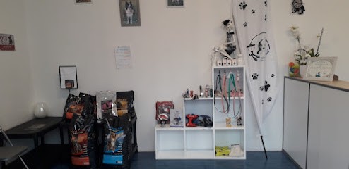 2 Tout Poil, Toiletteur pour Animaux à Lourdes