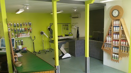 Dog Food Toilettage (depuis 1995), Toiletteur pour Animaux à Cernay