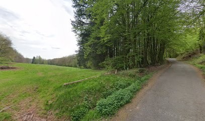 O' Domi' Cil' Canin, Toiletteur pour Animaux à Ronchamp