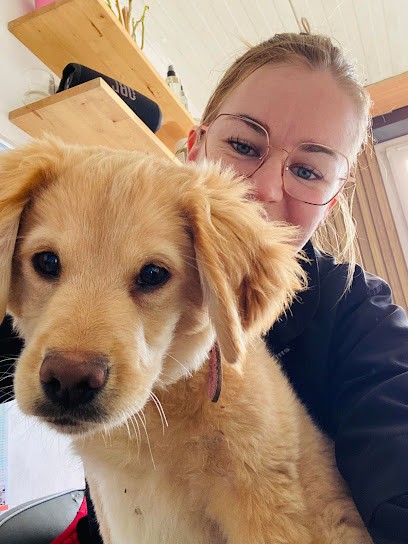 FLAIR'ALLURE, Toiletteur pour Animaux à Vernoil-le-Fourrier