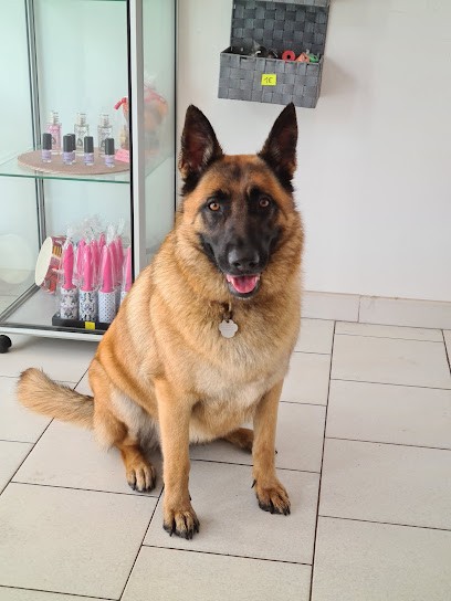 Belle Atti’dog, Toiletteur pour Animaux au Grau-du-Roi