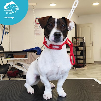 Animals'dream Toilettage à domicile, Toiletteur pour Animaux à Belfort
