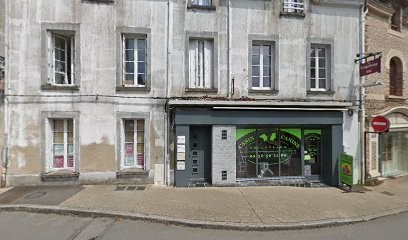 Canin Canine, Toiletteur pour Animaux à La Roche-Bernard