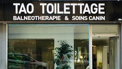 TAO TOILETTAGE BALNÉOTHÉRAPIE, Toiletteur pour Animaux à Nice