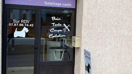 Magic Toutou, Toiletteur pour Animaux au Bourget-du-Lac
