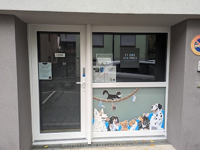 Un Look Aux Poils, Toiletteur pour Animaux à Niederbronn-les-Bains