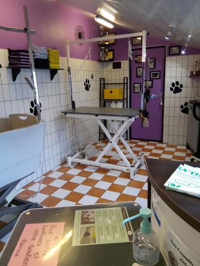 Chien Clean, Toiletteur pour Animaux à Toury