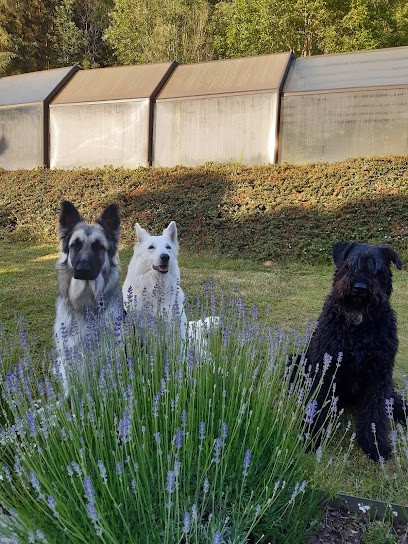 Esthéti'chien, Toiletteur pour Animaux à Janville