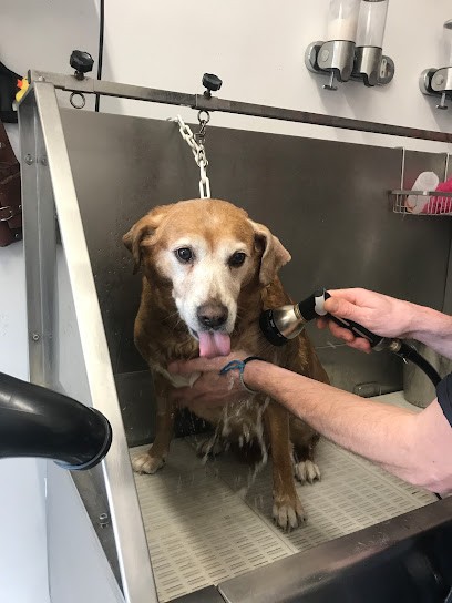 Salon De Toilettage - Un Pelage Au Poil, Toiletteur pour Animaux à La Rochelle