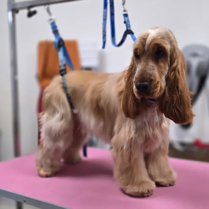 Boubou Net Toiletteur Pour Animaux à Vierzon