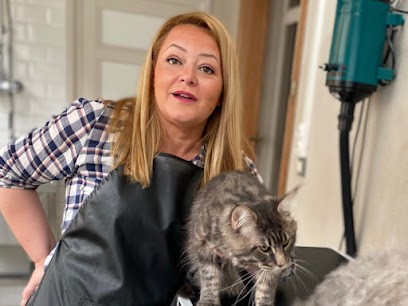LA TOILETTERIE LIBOURNE Chat Uniquement, Toiletteur pour Animaux à Libourne
