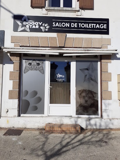 DOGGY STAR, Toiletteur pour Animaux à Saint-Vincent-de-Tyrosse